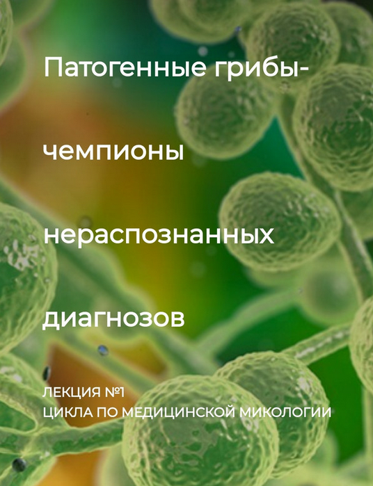 [Игорь Кауфман] Патогенные грибы - чемпионы нерасп_0.png